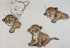 four lion cubs are depicted in this drawing