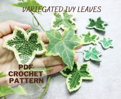 a person holding some green leaves in their hand with the words variegated ivy leaves on it