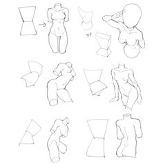 the instructions for how to draw female body