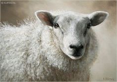 a painting of a sheep looking at the camera