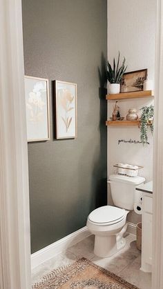 a white toilet sitting in a bathroom next to a wall mounted shelf with pictures on it