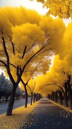 yellow trees with leaves blowing in the wind