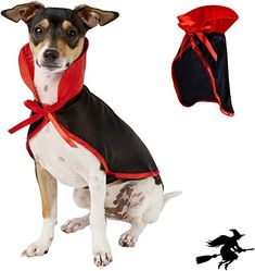 a small dog wearing a red and black outfit next to a halloween hat with a bat on it