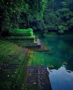 there are steps that lead to the water in this river and some trees around it