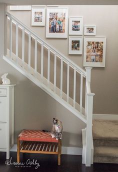 a cat sitting on a bench under a stair case next to a set of stairs