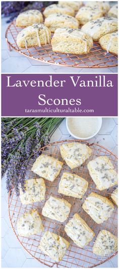 Lavender Vanilla Scones on a copper round rack next to fresh lavender. Gluten Free Lavender Scones, Lavender Vanilla Scones, Vegan Lavender Scones, Lavender Vanilla Cookies, Spring Scone Flavors, Recipes With Dried Lavender, How To Create Recipes