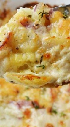 a spoon full of cheesy potato casserole with cheese and herbs on it