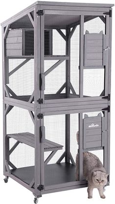 a gray cat standing next to a grey cage with shelves on each side and two cats inside