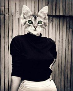 a cat with green eyes is wearing a black shirt and white skirt while standing in front of a wooden fence