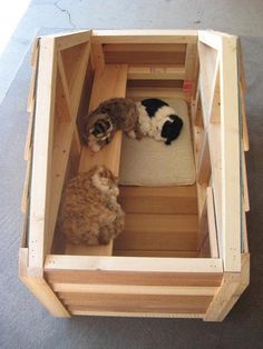 two cats are sitting in a wooden box on the floor and one cat is laying down