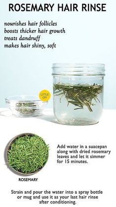 Rosemary Hair, Thick Hair Growth, Hormonal Balance, Rosemary Leaves, Hair Rinse, Diy Hair Care, How To Dry Rosemary, Hydrate Hair, Hair Solutions