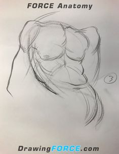 a drawing of a woman's torso with the words force anatomy written below it