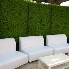 three white couches and a coffee table in front of a green privacy wall with plants on it