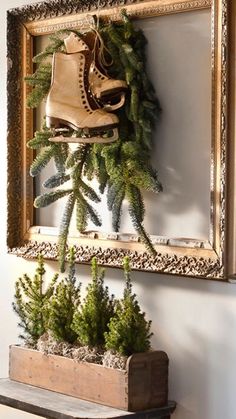 a pair of ice skates sitting on top of a wooden shelf next to plants