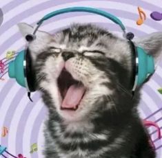 a cat wearing headphones and singing with music notes around it's neck in front of a purple background