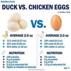 Ducks Vs Chickens, Low Carb Egg Recipes, Egg Nutrition Facts, 5 Day Meal Plan, Egg Nutrition, Egg Protein, Egg Fast, Duck Eggs