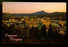 the city is surrounded by tall trees and mountain range in the background with an orange sky