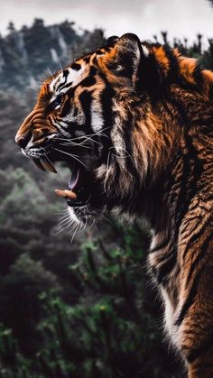 a tiger with its mouth open and it's teeth wide open in front of trees