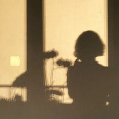 the shadow of a woman sitting in front of a window with flowers on it's side