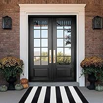 a black and white striped rug on the ground in front of a door with potted plants