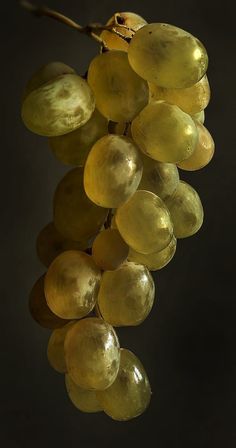 a bunch of green grapes hanging from a branch