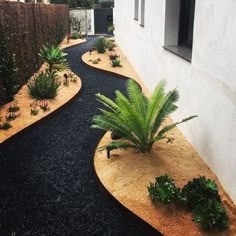 a garden area with black gravel and plants in the center, along side a white building