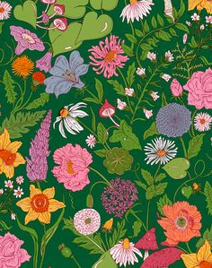 a green background with many different flowers and leaves on the bottom right hand corner is an image of a bouquet of wildflowers