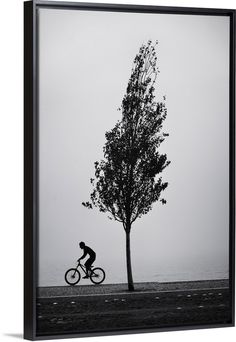 a black and white photo of a person riding a bike next to a tree