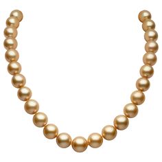 Comprised of timeless, jewellery box staples, our Classic collection is designed to last through the generations. Featuring vivid Golden South Sea pearls set in 18ct gold, this necklace is both classic and elegant. Other sizes, qualities and lengths of classic Golden South Sea pearl necklaces are available upon request. Pearl Type: Golden South Sea pearls Pearl Size: 11-13.1mm Metal: 18ct Yellow Gold Clasp Pearl Quality: AA Approximate Necklace Length: 17.5 inches (45cm) South Sea Pearl Necklace, Antique Necklaces, Yellow Pearl, Golden South Sea Pearls, Yoko London, Classic Necklace, Sea Pearl, Antique Necklace, Pearl Set