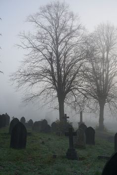 foggy graveyard with trees and headstones in the foreground