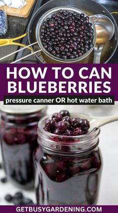 blueberries in jars with text overlay how to can blueberries pressure camera or hot water bath