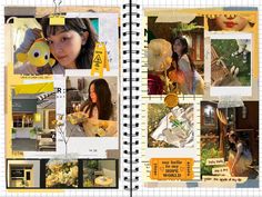 a page in a scrapbook with pictures and words on it, including an image of a woman holding a bird