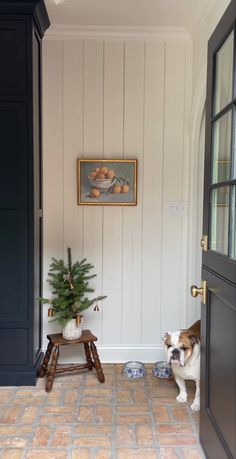 a dog standing in front of a door with a small christmas tree on the floor