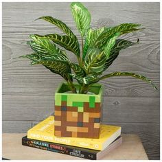 a potted plant sitting on top of two books