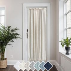 a room with white walls and wooden flooring next to a potted palm tree