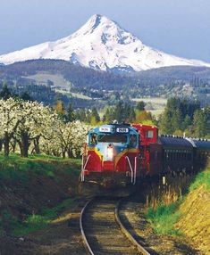 a train traveling down the tracks in front of a snow covered mountain with white flowers