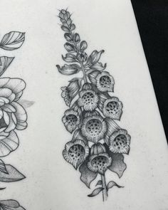 two drawings of flowers are shown in black and white