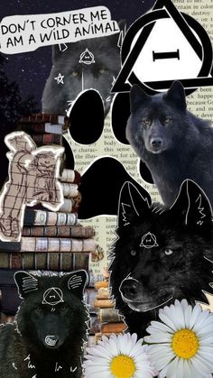 collage of wolfs, flowers and books with caption that says don't corner me i am a wild animal