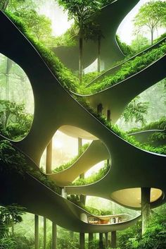 the interior of a tree - like building is made up of curved trees and plants