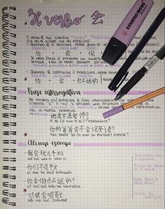 three pens are sitting on top of a notebook with writing in english and chinese characters