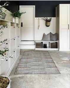 a room with white cupboards and plants in it, along with an area rug on the floor