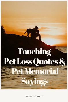 54 Touching Pet Loss Quotes & Pet Memorial Sayings | Pretty Fluffy Short Dog Memorial Quotes, Quotes About Losing A Dog, Quotes About Dogs Passing, Dog Memorial Quotes, Memorial Sayings, Losing A Dog Quotes, Losing A Pet Quotes, Pet Quotes Dog, Passing Quotes