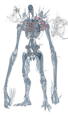 a drawing of a human skeleton with various parts attached to the body and hands on it