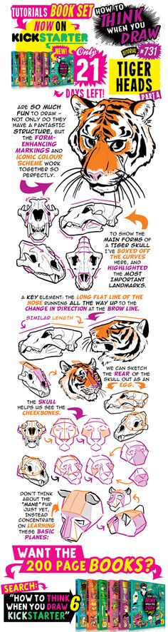 the tiger head poster shows how to draw it