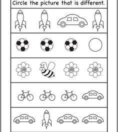 a worksheet with different types of cars and flowers on the bottom, which includes pictures