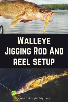 the best walleye jigging rod for fishing in 2021 buyer's guide cover