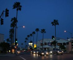 cars driving down the street at night with palm trees