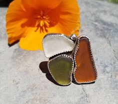 two heart shaped rings sitting on top of a rock next to a flower and orange flower