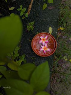 there is a flower in the bowl on the ground next to some leaves and grass