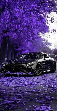 a black car parked in front of purple trees